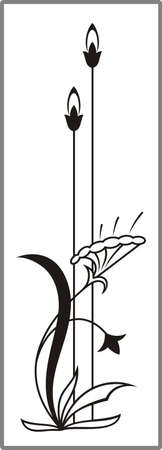 Drawing for sandblasting mirrors 1-21のイラスト素材