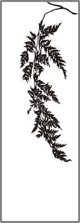 Drawing for sandblasting mirrorsのイラスト素材