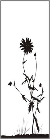 Drawing for sandblasting mirrorsのイラスト素材