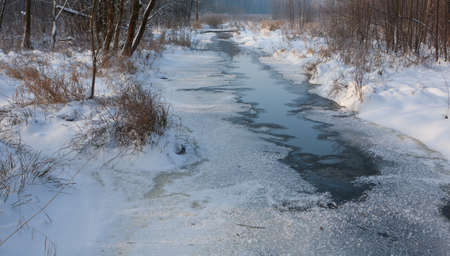 Snowy partly frozen river in morning crossing riparian stand