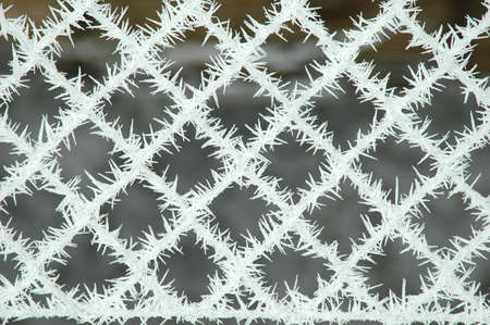Frosted wired fence net closeup