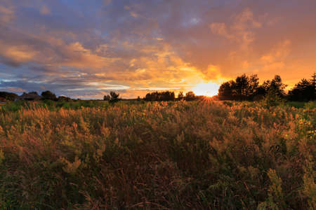 Sunset clouds rain after over abandoned field with grass,Podlasie Region,Poland,Europe