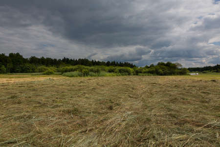 Just moved meadow before rainfall in summer, Bialowieza Forest, Poland, Europeの写真素材