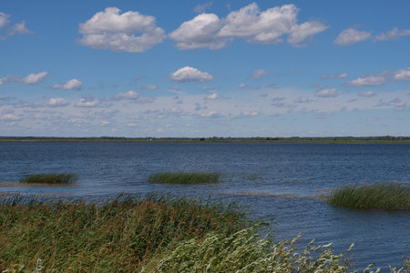 SiemianÃ³wka artificial lake in summer midday with reed grass in foreground, Podlasie Voivodeship,...
