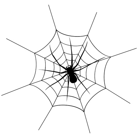 The spider weighs on a web  A vector illustrationのイラスト素材