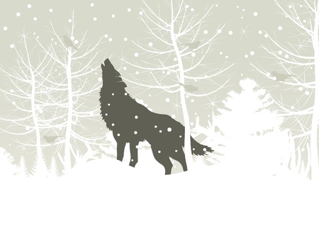 The wolf howls in winter wood  A vector illustrationのイラスト素材
