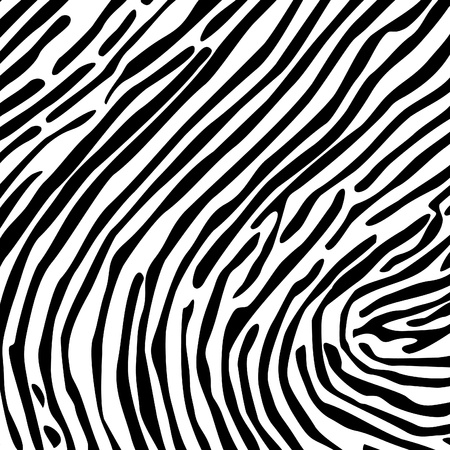 Structure from a skin of a zebra  A vector illustrationのイラスト素材