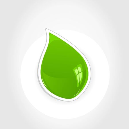Green leaf on a white background  のイラスト素材