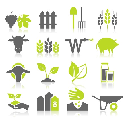 Set of icons on a theme agricultureのイラスト素材