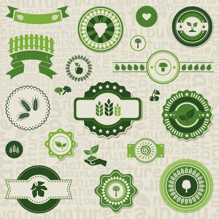 Label of the nature for design  A vector illustrationのイラスト素材