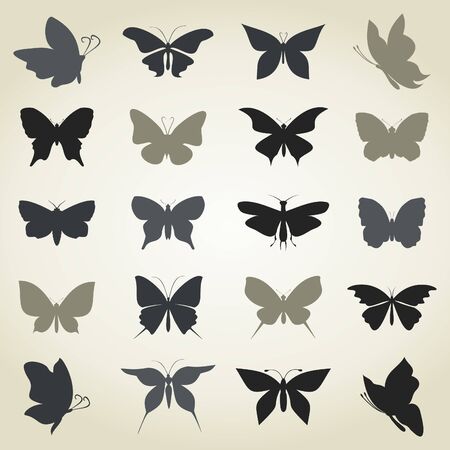 Set of butterflies for design のイラスト素材