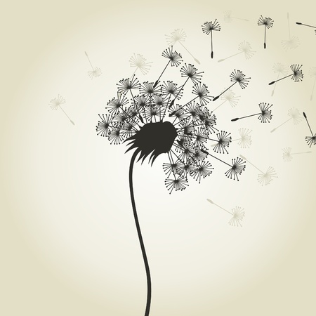 From a dandelion seeds fly  A vector illustrationのイラスト素材