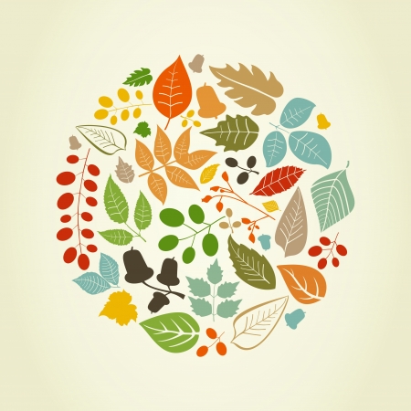 Autumn leafs in the form of a circle illustrationのイラスト素材