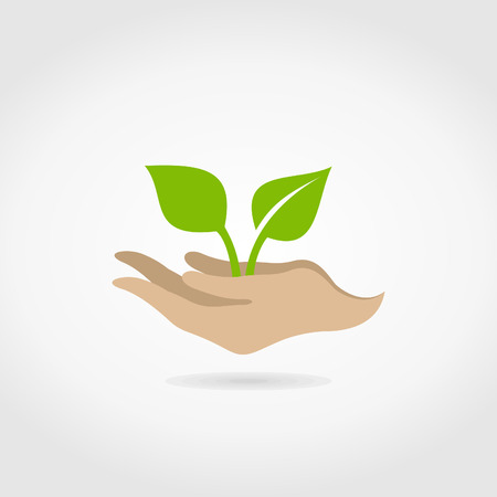 Hands hold leaf. A vector illustrationのイラスト素材