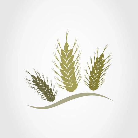 Three ears of wheat. A illustrationのイラスト素材