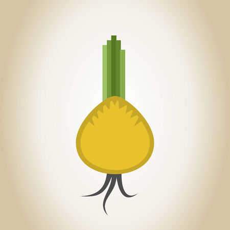 Vegetable onions. A vector illustrationのイラスト素材