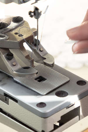 Textile industry, clothing production. Close-up of sewing equipment. Loops and buttons.