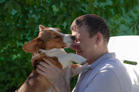 A happy man is holding a purebred dog in his arms. Welsh Corgi Pembroke. Pets.の写真素材