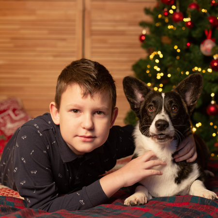 A smiling teenager and a Pembroke Welsh Corgi dog at the Christmas tree. Holidays and events.の写真素材