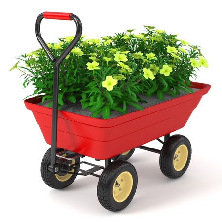 Flowerbed in hand trolley. Isolated on white background