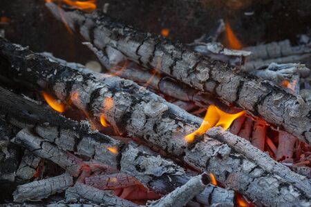 Flames crawl up the side of a piece of firewood in an open campfire.