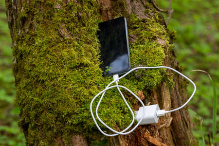 Ecological clean electricity concept. The mobile phone is charged from a tree.