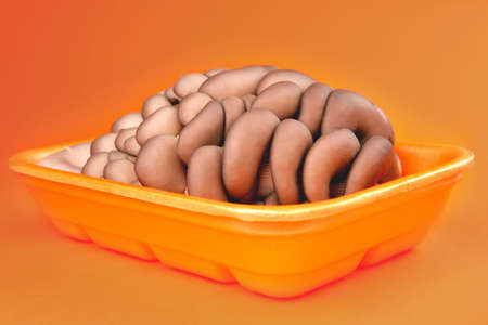 Edible natural oyster mushrooms in an orange container on a substrate, on an orange background,...