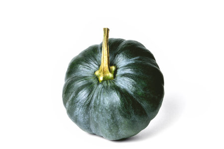 Green pumpkin of a round shape, on a white background close-upの写真素材