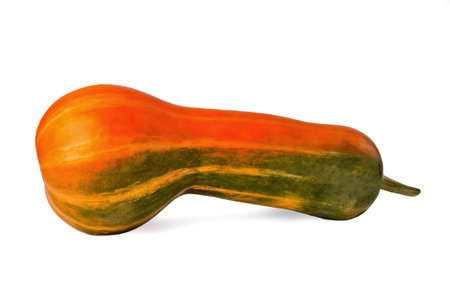 Natural juicy pumpkin on a white background, close-up selective focusの写真素材