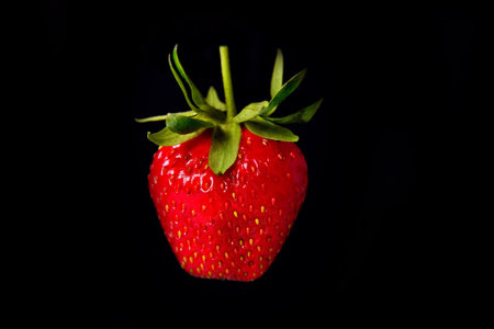 Strawberries on a black background with green leaves background close-upの写真素材