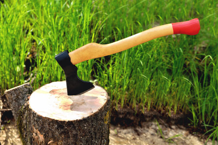 a shaped ax sticks out in a tree, with a yellow handle close-up, on a natural backgroundの写真素材