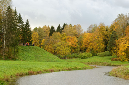 The natural landscape in the woods in Psarou weather,before the rain.の写真素材