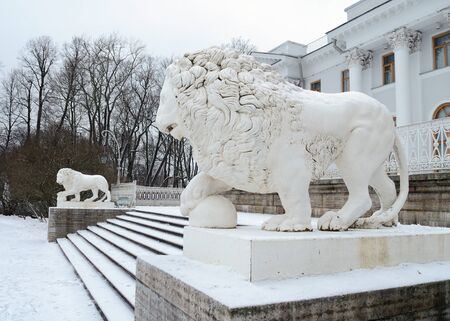 18.12.2016.Russia.Saint-Petersburg.Lion sculpture, cast metal,stands in front of the facade of the building.の写真素材