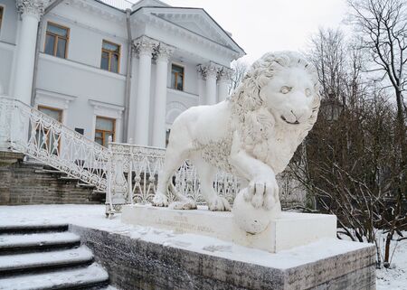 18.12.2016.Russia.Saint-Petersburg.Lion sculpture, cast metal,stands in front of the facade of the building.のeditorial素材