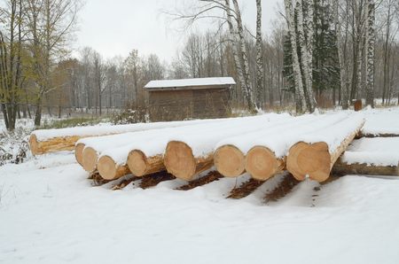 Round logs for the construction of the hut.の写真素材