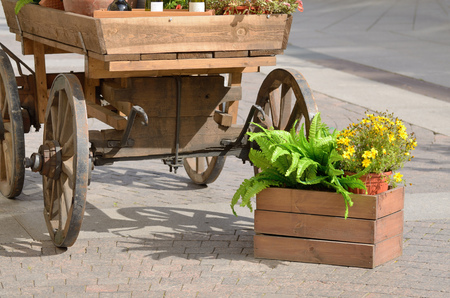 Horse-drawn wagon on a city street.On the box are growing ornamental flowers.の写真素材