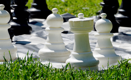 Chess pieces on the playing field.The game takes place in a meadow in the Park.の写真素材