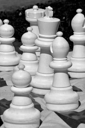Chess pieces on the playing field.The game takes place in a meadow in the Park.の写真素材