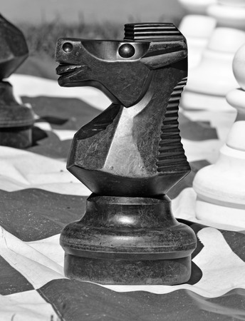 Chess pieces on the playing field.The game takes place in a meadow in the Park.の写真素材