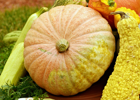 By the fall of Mature fruits and vegetables.They are collected from the fields.Is the harvest.の写真素材