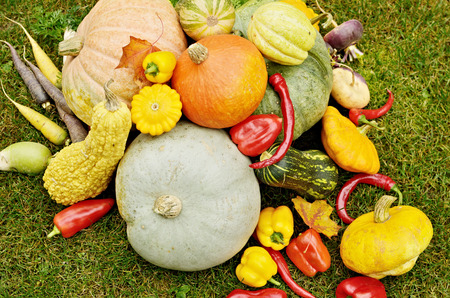 By the fall of Mature fruits and vegetables.They are collected from the fields.Is the harvest.の写真素材