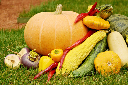 By the fall of Mature fruits and vegetables.They are collected from the fields.Is the harvest.の写真素材