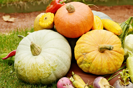 By the fall of Mature fruits and vegetables.They are collected from the fields.Is the harvest.の写真素材
