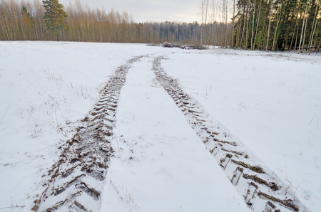 Track from the tractor in the snow.He was taking wood from the forest.の写真素材