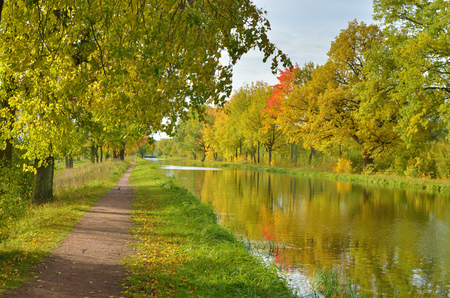 Autumn landscape in the park. The leaves on the trees have a multicolored color.の写真素材
