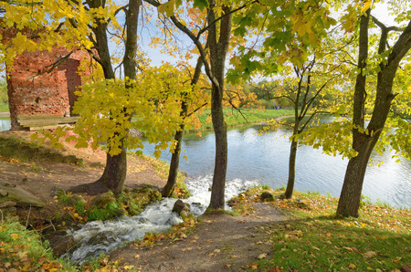 Autumn landscape in the Park.The leaves on the trees have a multicolored color.A fast stream flows into the lake.のeditorial素材