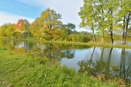 Autumn landscape in the Park.The leaves on the trees have a multicolored color.の写真素材