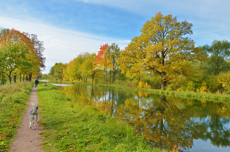 Autumn landscape in the Park.The leaves on the trees have a multicolored color.の写真素材
