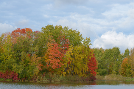 Autumn landscape in the Park.The leaves on the trees have a multicolored color.の写真素材