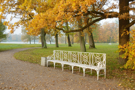Autumn landscape in the Park.The leaves on the trees have a multicolored color.の写真素材